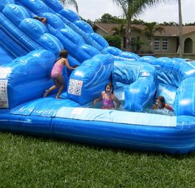 Ruelle gonflable énorme bleue de Comercial de glissière d'eau de baleine double pour des enfants