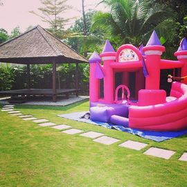 Princesse rose Inflatable Bouncy Castle, châteaux sautants gonflables pour la partie de la fille