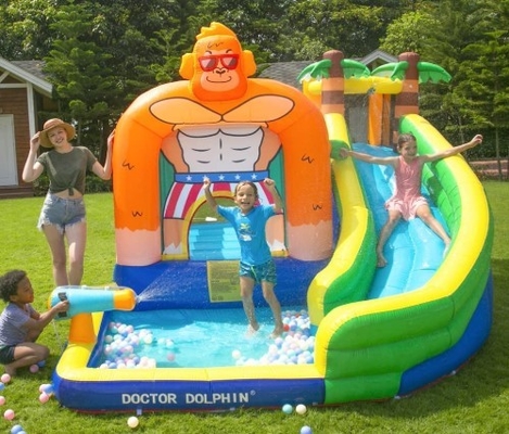 Glissière de docteur Dolphin Inflatable Water pour la Chambre de rebond de l'eau d'enfant en bas âge avec la piscine d'éclaboussure