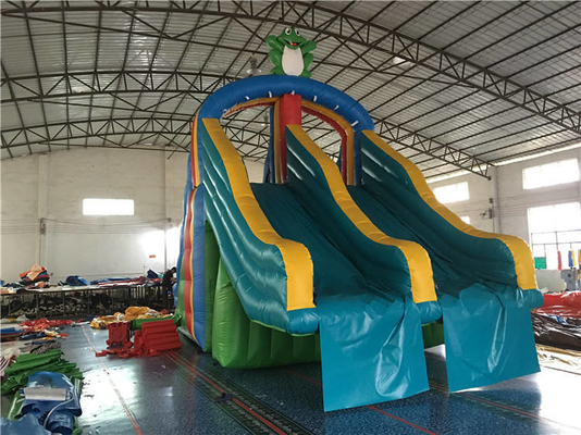 Glissière extérieure de Mini Size Frog Inflatable Playground de glissière pleine d'entrain gonflable attrayante de PVC