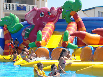 le parc aquatique géant adapté aux besoins du client de poulpe, parc aquatique gonflable animal de dolohin avec la grande piscine joue