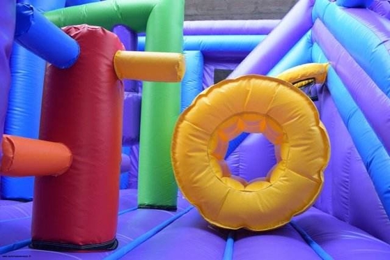 Backyard Licorne Bouncy Castle Hire Gonflable Bouncer House Kids