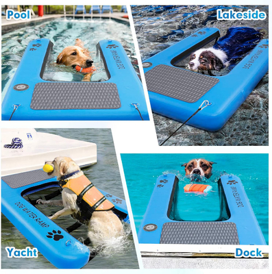 Aider le chien à sortir de l'eau avec une rampe gonflable pour les chiens