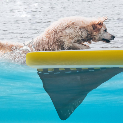 Rampes d'eau gonflables extra-grandes pour bateaux, piscine pour chiens rampes gonflables légères pour chiens échelle douce pour chiens, plateforme de course