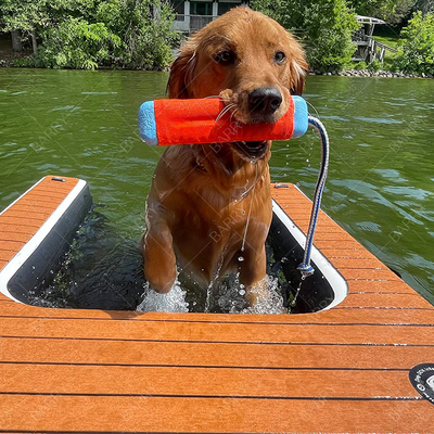 Jeux d'eau pour chiens Rampes gonflables pour chiens