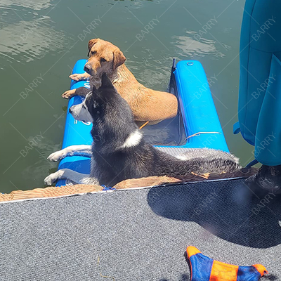 Plateforme flottante sur le quai d'eau pour animaux de compagnie