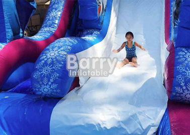 glissière d'eau gonflable congelée par PVC de 0.55mm avec la piscine/jeu géant de parc aquatique d'amusement