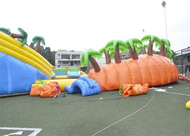 Parc aquatique gonflable étonnant d'équipement extérieur géant de jeu pour des enfants