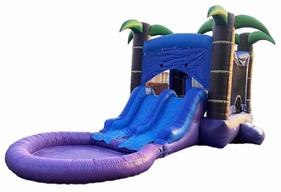 Bouncer personnalisé avec 2 toboggans et piscine mouillée ou sèche