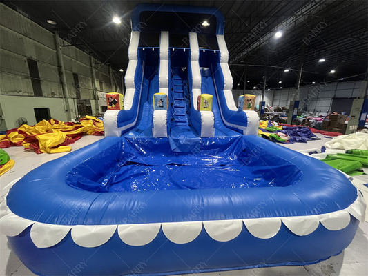 Parc d'attractions Jardin extérieur Grand enfant Toboggans aquatiques gonflables doubles pour adolescents Cour arrière