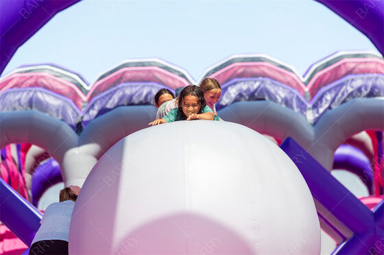 Parcours du combattant gonflable de jeux extérieurs de renforcement d'équipe 5k avec le PVC de Platon