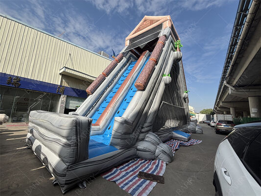 Glissière d'eau gonflable géante de qualité commerciale, double voie à thème tropical, glissière humide / sèche pour les parcs d'attractions et les festivals