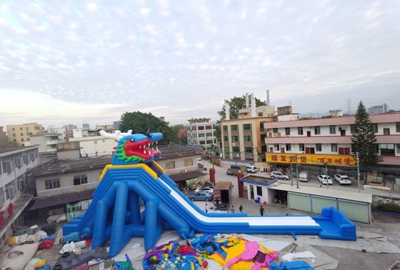 Glissière superbe de parc d'attractions de Dragon Inflatable Water Slides Adult