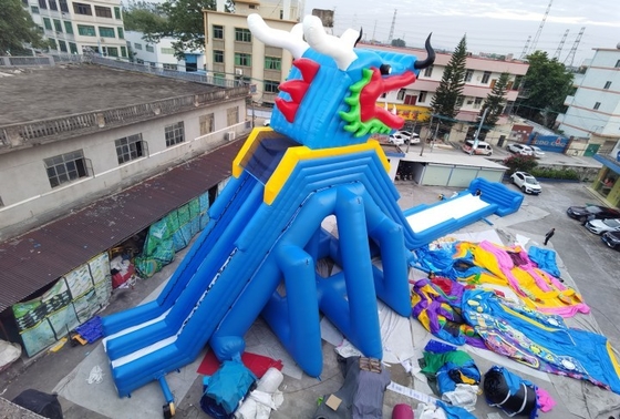 Glissière superbe de parc d'attractions de Dragon Inflatable Water Slides Adult