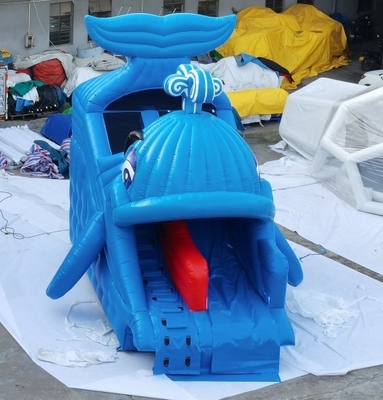 L'eau gonflable commerciale glisse l'arrière-cour à la maison de conception de baleine