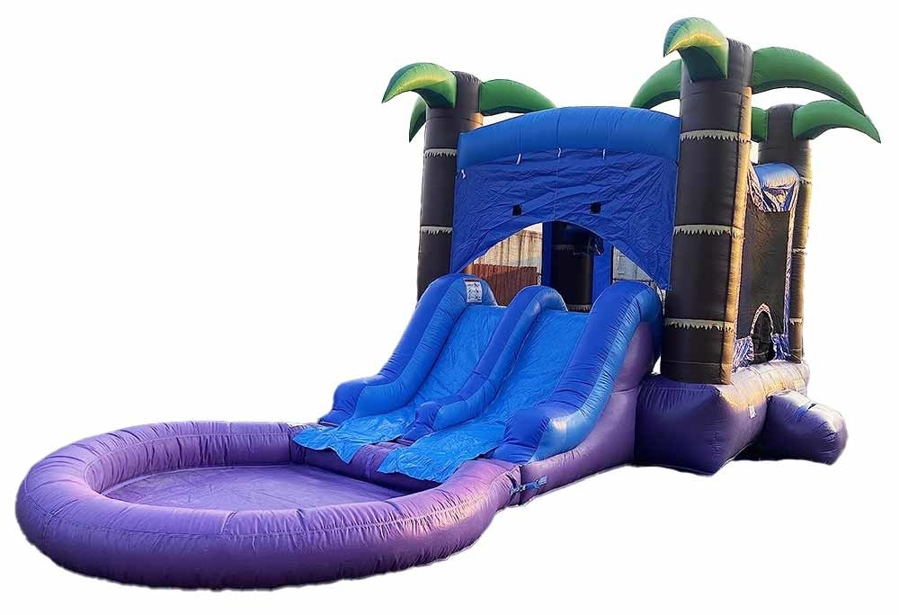 Bouncer personnalisé avec 2 toboggans et piscine mouillée ou sèche
