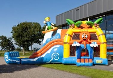 milieu combiné de glissière superbe de videur de plage de PVC de 0.55mm avec la piscine