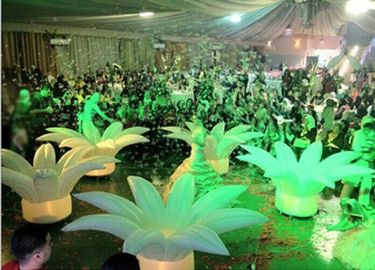Lumières gonflables menées fantastiques de tournesol pour la proposition de mariage romantique