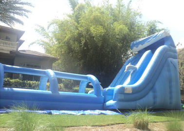 glissière gonflable extérieure grande de 21FT et glissière du glissement N de 32ft longue gonflable/vague avec la piscine
