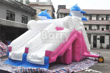 glissière gonflable de rose matériel de dauphin de bâche de PVC de 0.55mm pour la piscine