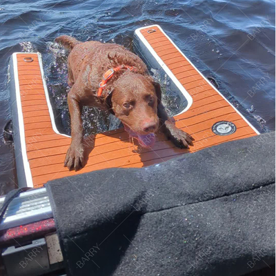 Logo personnalisé Accepté Plastique Escalier gonflable pour chien piscine pour chiens à tronc avec kit de réparation accessoire